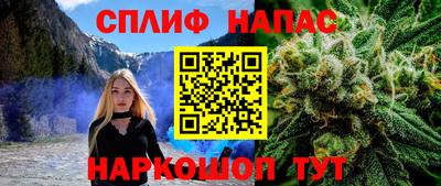 сатива Апшеронск