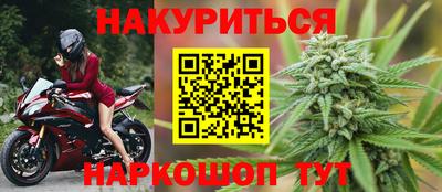 сатива Апшеронск