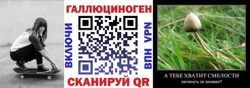 сайты даркнета как зайти  где продают   Кохма  Галлюциногенные грибы MAGIC MUSHROOMS 