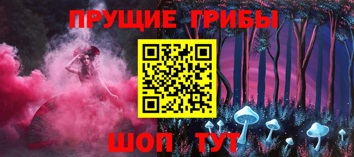 Псилоцибиновые грибы мицелий Кохма